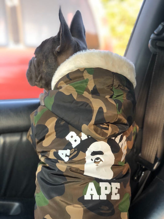 Dape Jacket