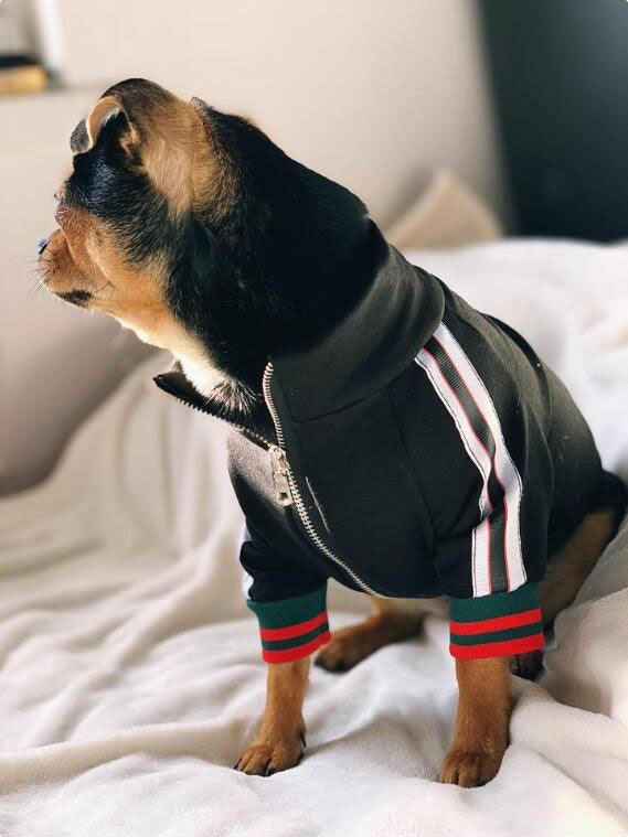 Pucci Varsity Jacket