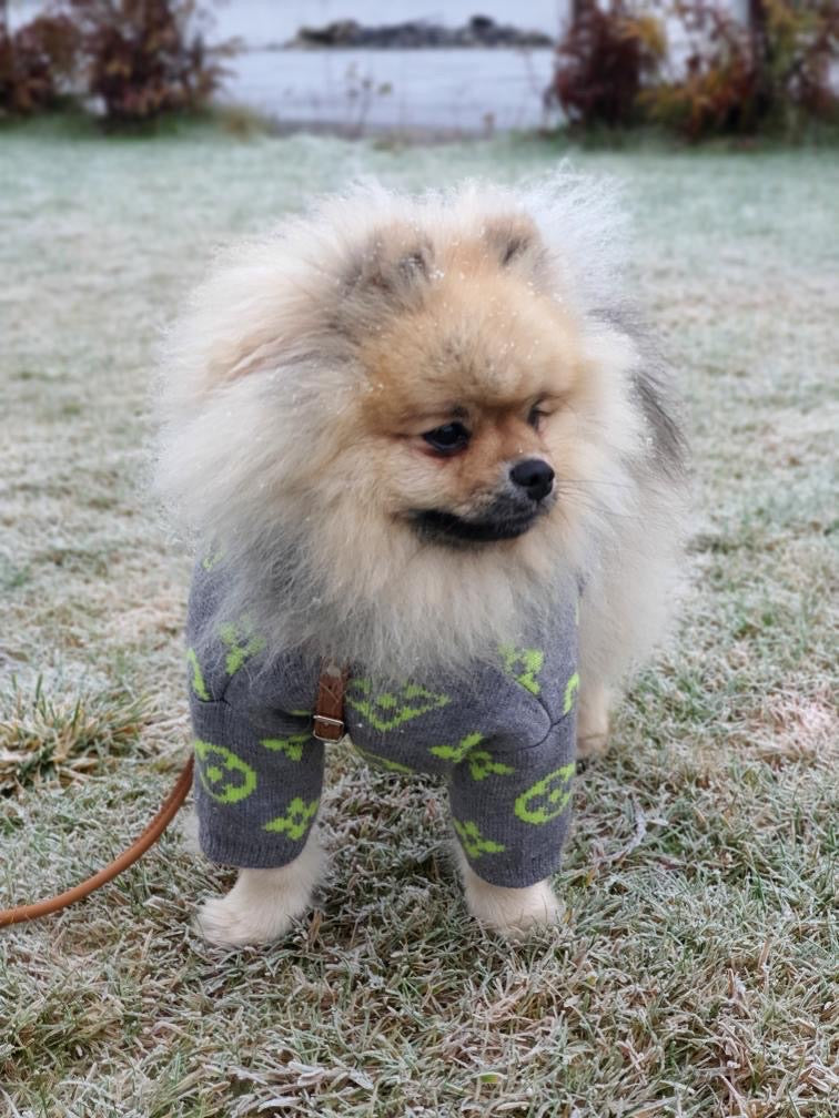 Chewy Vee Sweater
