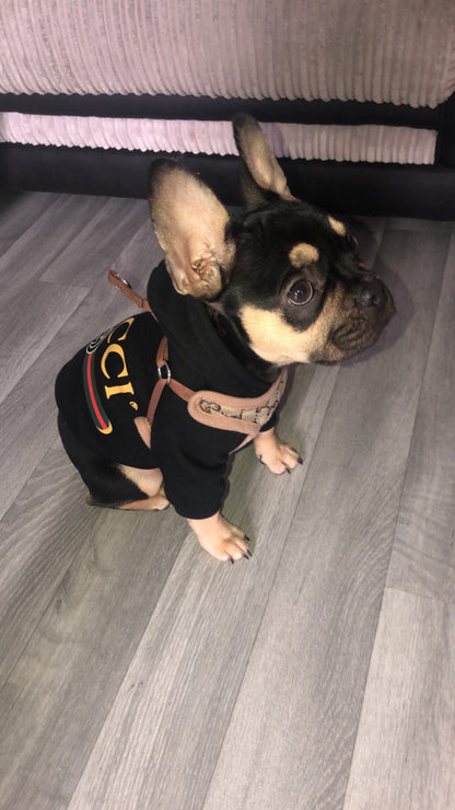 Pucci Harness & Leash Set