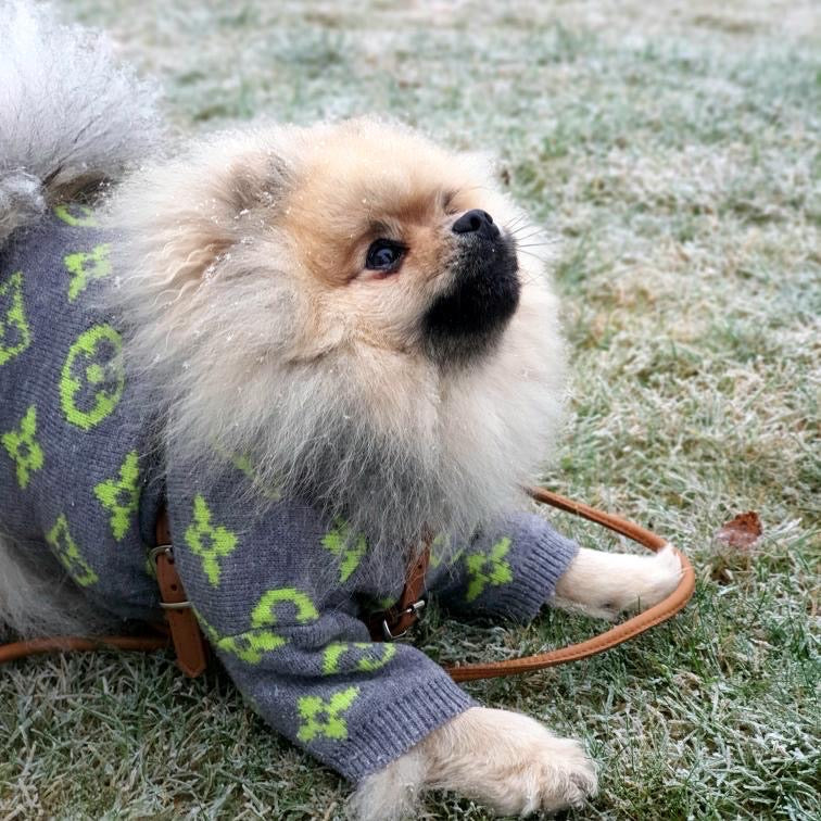 Chewy Vee Sweater