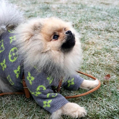 Chewy Vee Sweater