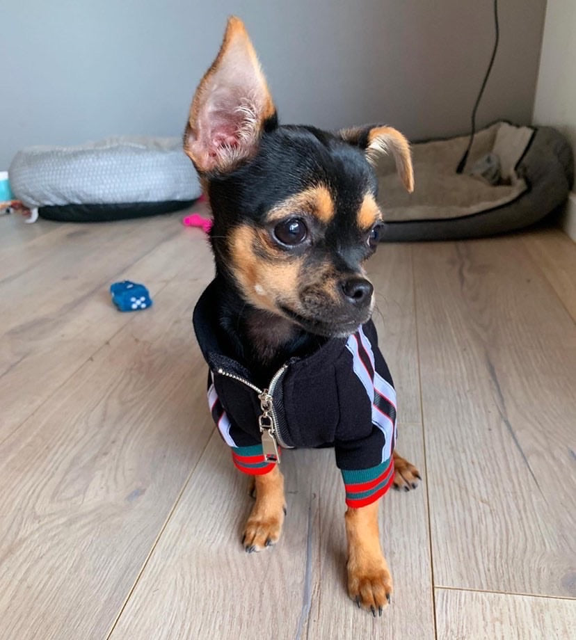 Pucci Varsity Jacket