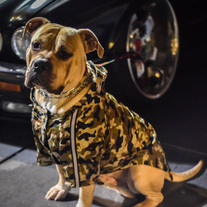 Doggo Face Windbreaker | Camo