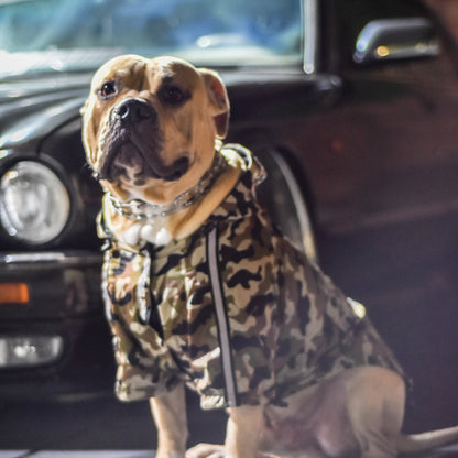 Doggo Face Windbreaker | Camo