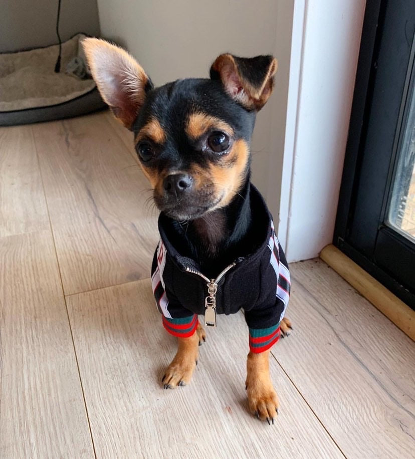 Pucci Varsity Jacket