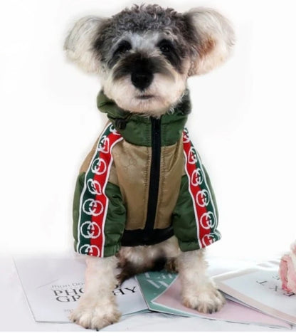 Pucci Hoodie Jacket | Green
