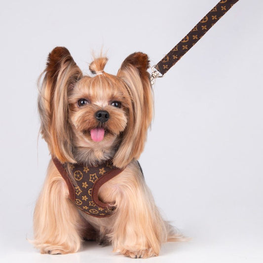 Furry Vee Harness & Leash Set