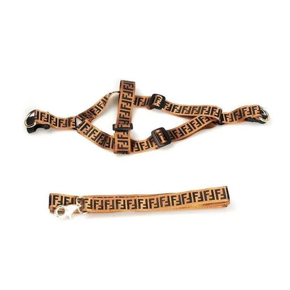 Pawndi Harness & Leash Set