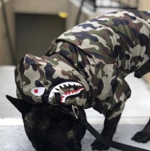 Doggo Face Windbreaker | Camo